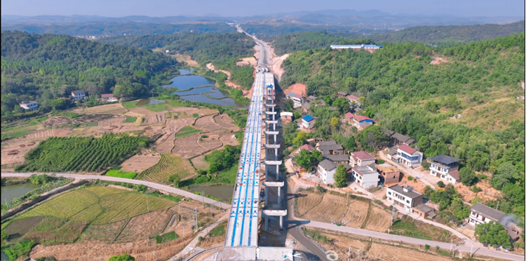 棗子塘大橋.png