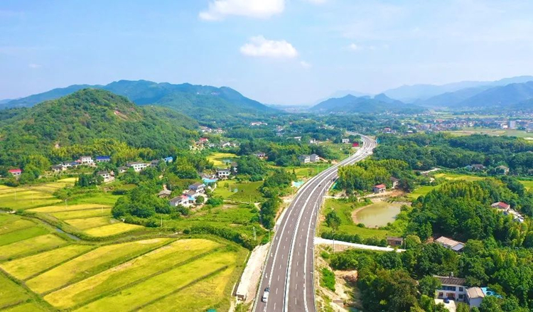 楊橋－橋驛項目整體.jpg
